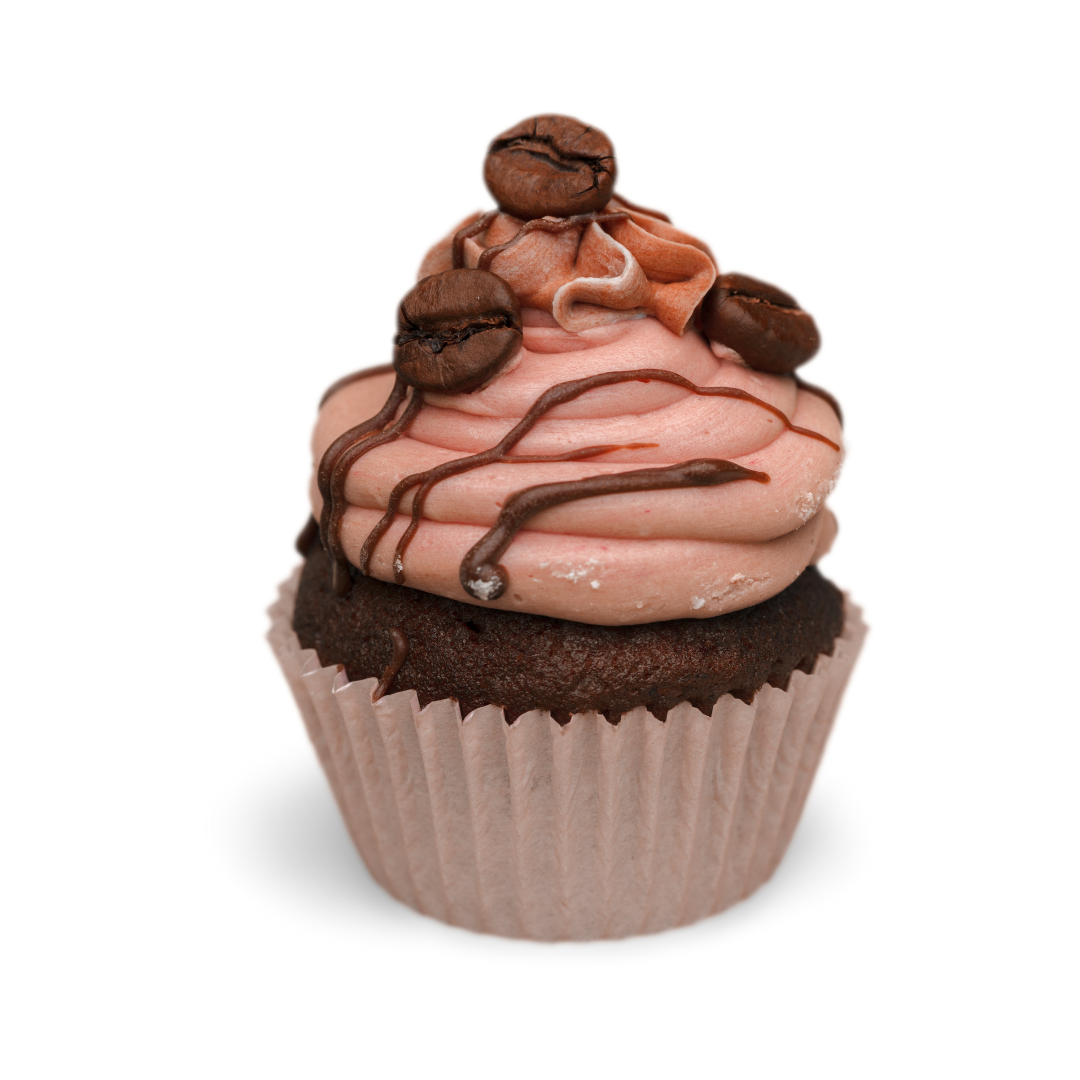 Chocolate Cupcake